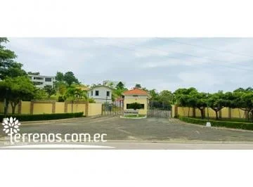 Terreno en Jama, Manabí — imagen 4