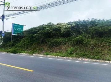 Terreno de Venta de 20.000 m² Sobre La Vía Calacalí — imagen 2