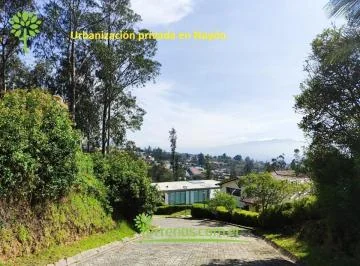 Venta de Terreno 1.106 m² Dentro de Urbanización Privada en Nayón. Provincia de Pichincha — imagen 5
