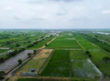 Terreno en Venta Vía Al Pan (Samborondón – Yaguachi), Guayas — imagen 4