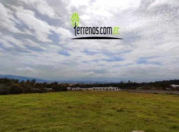 Vendo Terreno Conocoto Proyecto Inmobiliario Valle de Los Chillos 2.511 m² Cos 35% 105% — imagen 4