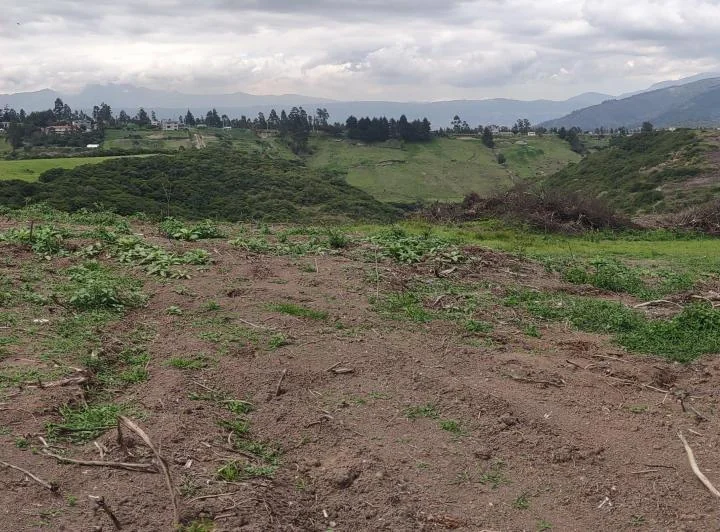 Terreno Industrial 7.74ha (77.400 M²), Alto Impacto, Cerca Al Peaje de La E35 — imagen 1
