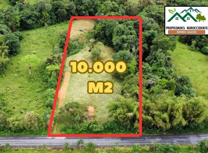 Terreno de 10,000 m² en San Miguel de Los Bancos — imagen 1