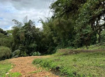 Terreno de 10,000 m² en San Miguel de Los Bancos — imagen 5