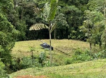 Terreno de 10,000 m² en San Miguel de Los Bancos — imagen 3