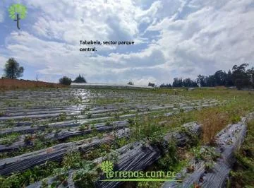 Venta E Terreno 6.578 m², Tababela, Cerca Al Parque Central. Provincia de Pichincha — imagen 4