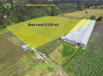 Venta E Terreno 6.578 m², Tababela, Cerca Al Parque Central. Provincia de Pichincha — imagen 3
