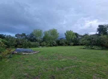 Tumbaco Vendo Espectaluar Terreno Ideal Para Proyecto Familiar — imagen 3