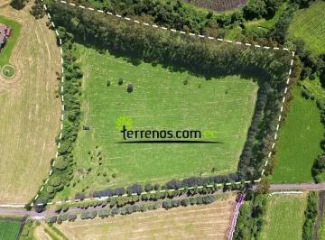 Hacienda Umbría Terreno de Venta 2.8 Has Machachi — imagen 4