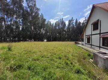 Propiedad en Venta en Tabacundo, Sector Tupigachi — imagen 5