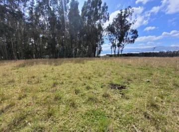 Propiedad en Venta en Tabacundo, Sector Tupigachi — imagen 3