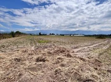 Venta de Terreno de 2 Hectáreas Sobre Vía Principal Conector Alpachaca — imagen 5
