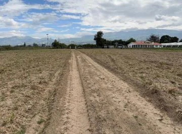 Venta de Terreno de 2 Hectáreas Sobre Vía Principal Conector Alpachaca — imagen 4