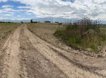 Venta de Terreno de 2 Hectáreas Sobre Vía Principal Conector Alpachaca — imagen 3