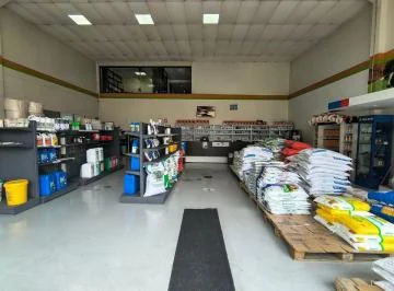 Vendo o Rento Propiedad Comercial con Galpón, en El Sector de La Granda Centeno — imagen 4