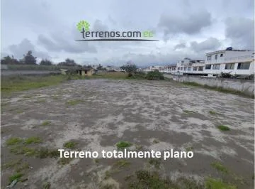 Terreno en Venta 6952.6 m² Calle El Progreso Calderón — imagen 4