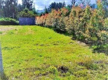 Venta Terreno 1.000 m² Tababela — imagen 5