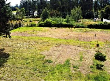Venta Terreno 1.000 m² Tababela — imagen 4