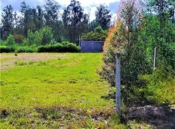 Venta Terreno 1.000 m² Tababela — imagen 3