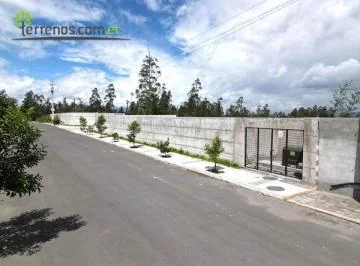 Terreno - Llano Chico — imagen 5