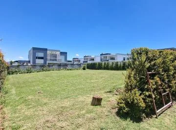Terreno - Puembo — imagen 3