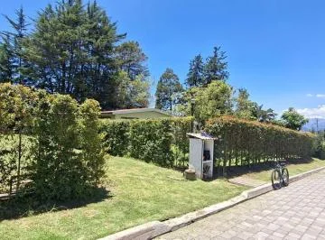 Terreno - Puembo — imagen 2