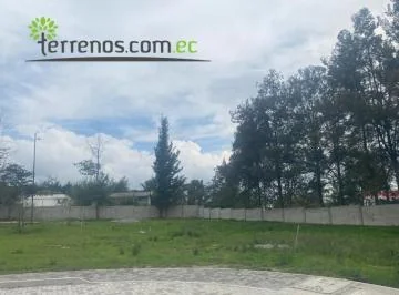 Terreno de Venta 569 m² en Puembo Sector Colegio Highlands — imagen 5