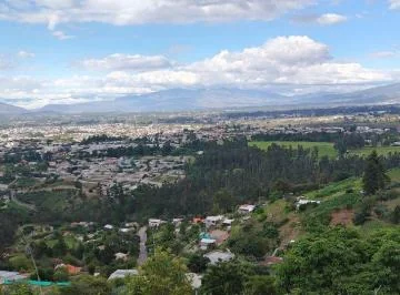 Venta Terreno de 10.000 m², con Casa Diseño Rústico, Ilaló, Tumbaco — imagen 5