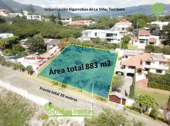 Algarrobos de La Viña — imagen 1