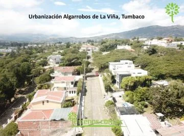Algarrobos de La Viña — imagen 2