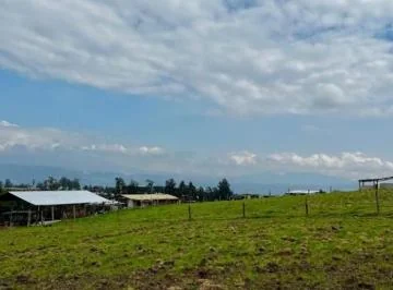 Terreno de Venta en Tababela de 15.520 m², Sector Oyambarillo — imagen 5