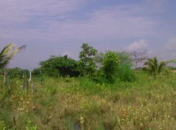 Venta Terreno 100.000 m² o 10has, Alto Impacto en Via Duran Tambo, Guayas — imagen 5