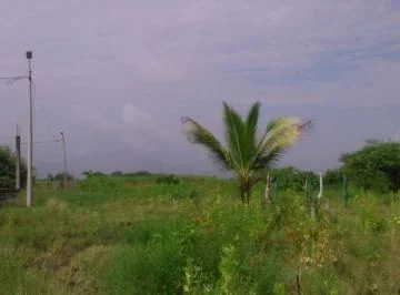 Venta Terreno 100.000 m² o 10has, Alto Impacto en Via Duran Tambo, Guayas — imagen 4