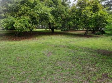 Vendo Terreno en Puembo, La Palma Polo Club, Sector Residencial — imagen 4