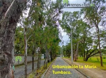 Venta Terreno Bifamiliar 2.574 m², Tumbaco. Provincia de Pichincha — imagen 5