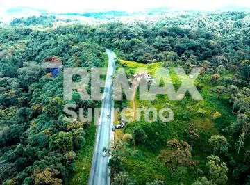 Se Vende Finca en Mindo — imagen 5