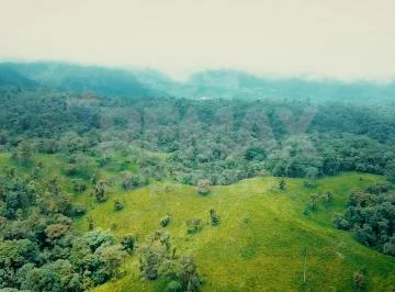 Se Vende Finca en Mindo — imagen 4