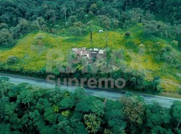 Se Vende Finca en Mindo — imagen 3
