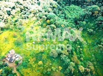Se Vende Finca en Mindo — imagen 2