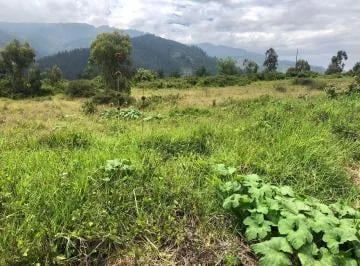 Terreno en Lumbisi — imagen 4