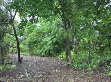 Terreno en Venta en Km. 33 Vía a La Costa, Urb. Lomas del Bosque, Guayas — imagen 4