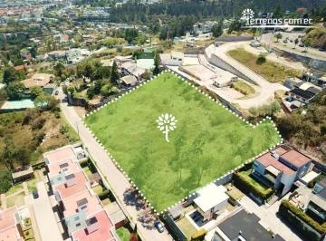 Vendo Terreno 4.503 m² en Miravalle Sector Club Terravalle — imagen 3