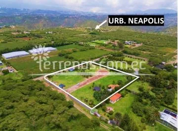 Terrenos de Venta en Puembo Desde 900 m² Dentro de Lotizacion — imagen 2