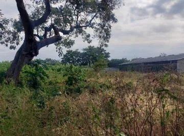 Terreno Comercial Ideal Para Proyecto, Sector Puerto Santa Ana, Guayas — imagen 3