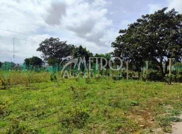 Terreno Productivo de 12.141 m² en Collaquí – Tumbaco — imagen 4