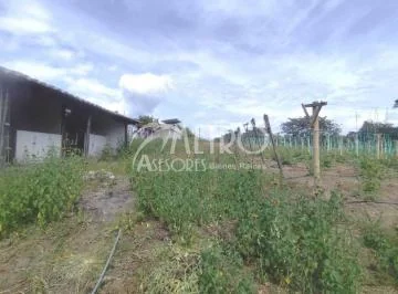 Terreno Productivo de 12.141 m² en Collaquí – Tumbaco — imagen 3