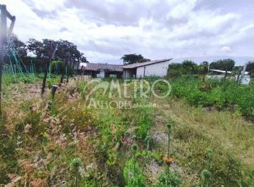 Terreno Productivo de 12.141 m² en Collaquí – Tumbaco — imagen 2
