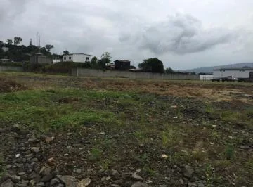 Terreno Industrial Via Daule 4.000 Mtr2, Guayas — imagen 3
