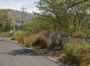Vendo Terreno 4300 m² en La Ruta Viva Sector Pachosalas — imagen 4
