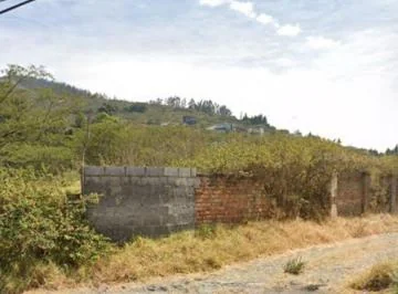 Vendo Terreno 4300 m² en La Ruta Viva Sector Pachosalas — imagen 2